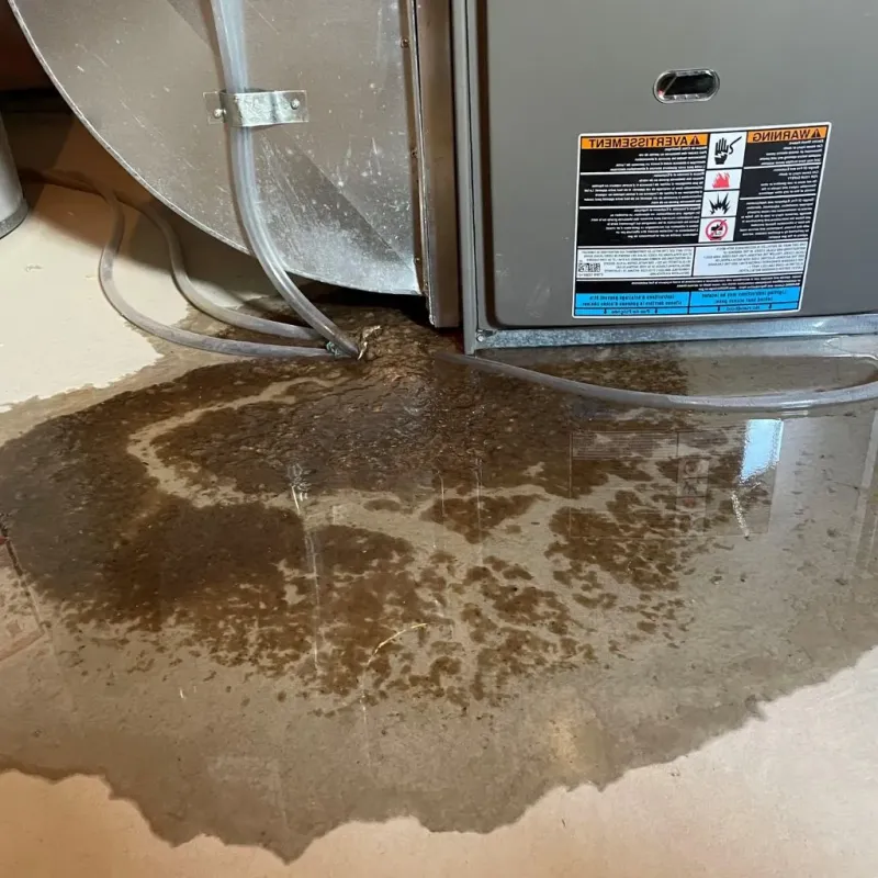 Pipe Burst and Leak Restoration in Hudsonville, MI