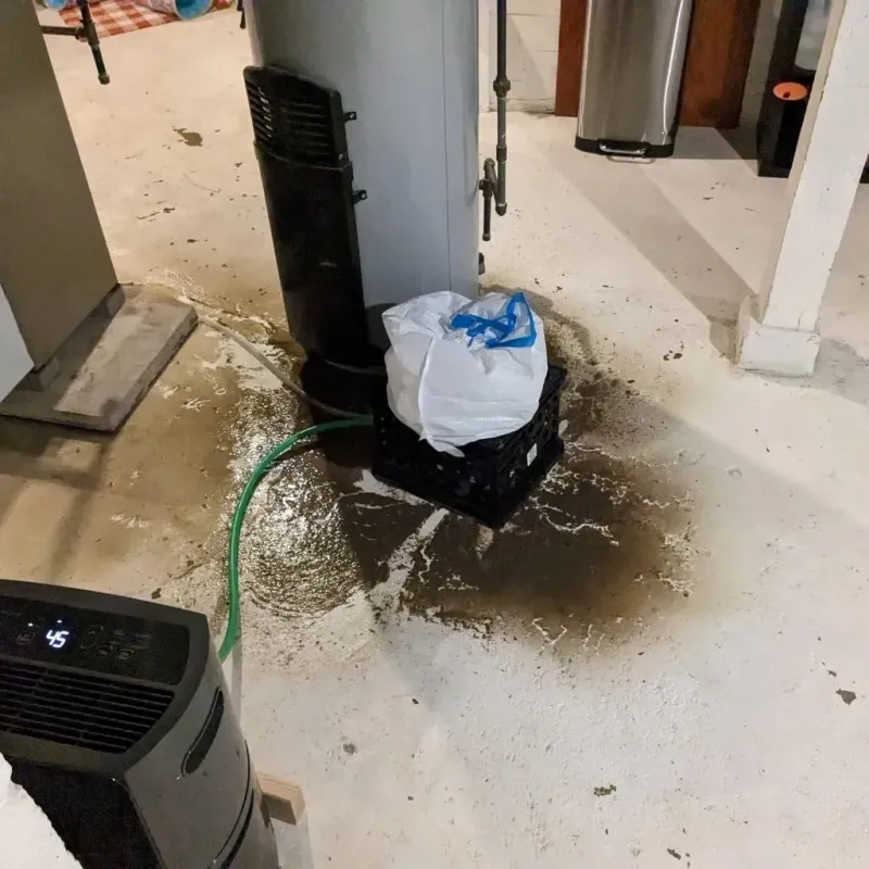 Sewage Backup Cleanup Service in Hudsonville, MI